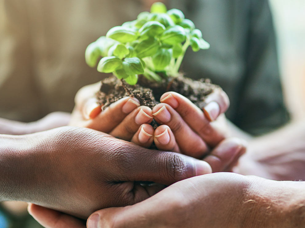 Ecológica Engenharia - Sustentabilidade